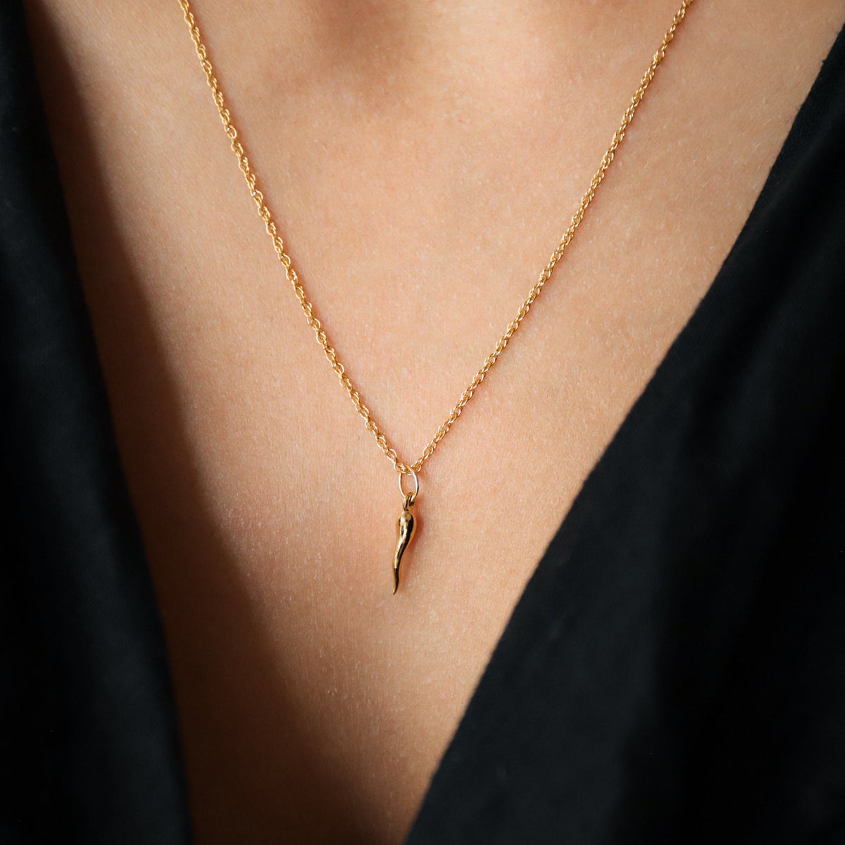 Italian Horn Necklace, 14K gold filled ENGA6785