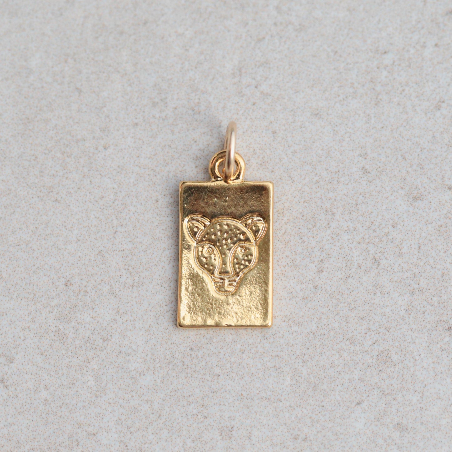 Gold vermeil pendant from Earthly Abundance featuring a detailed, handcrafted design on a delicate chain.