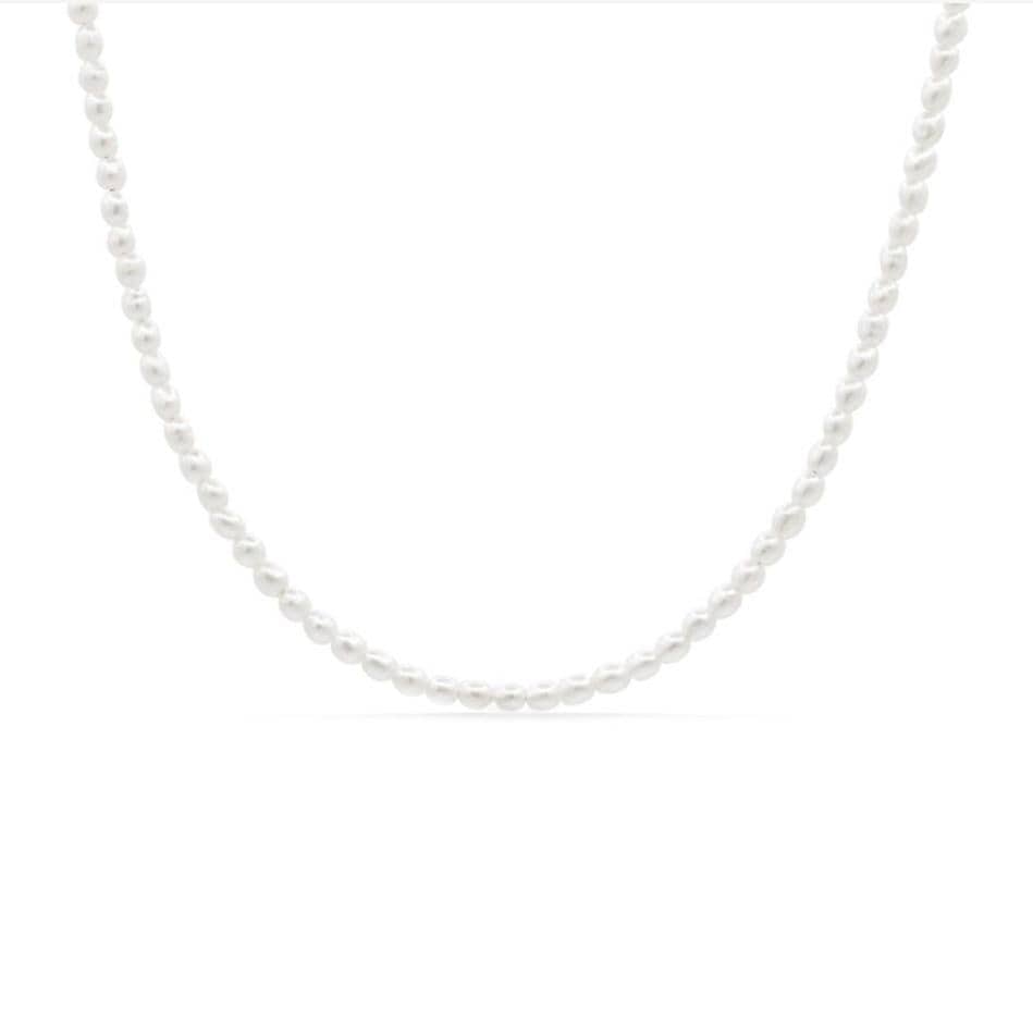 Pearl Whisper choker necklace by Earthly Abundance featuring a 14K gold-filled chain with a delicate pearl pendant.