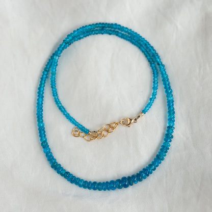 A Gemmy Apatite Necklace from Earthly Abundance featuring a vibrant blue gemstone pendant on a delicate silver chain.