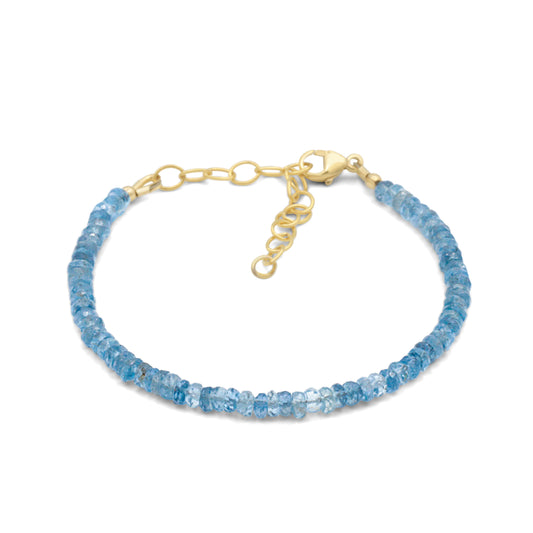 Santa Maria Aquamarine - 14K