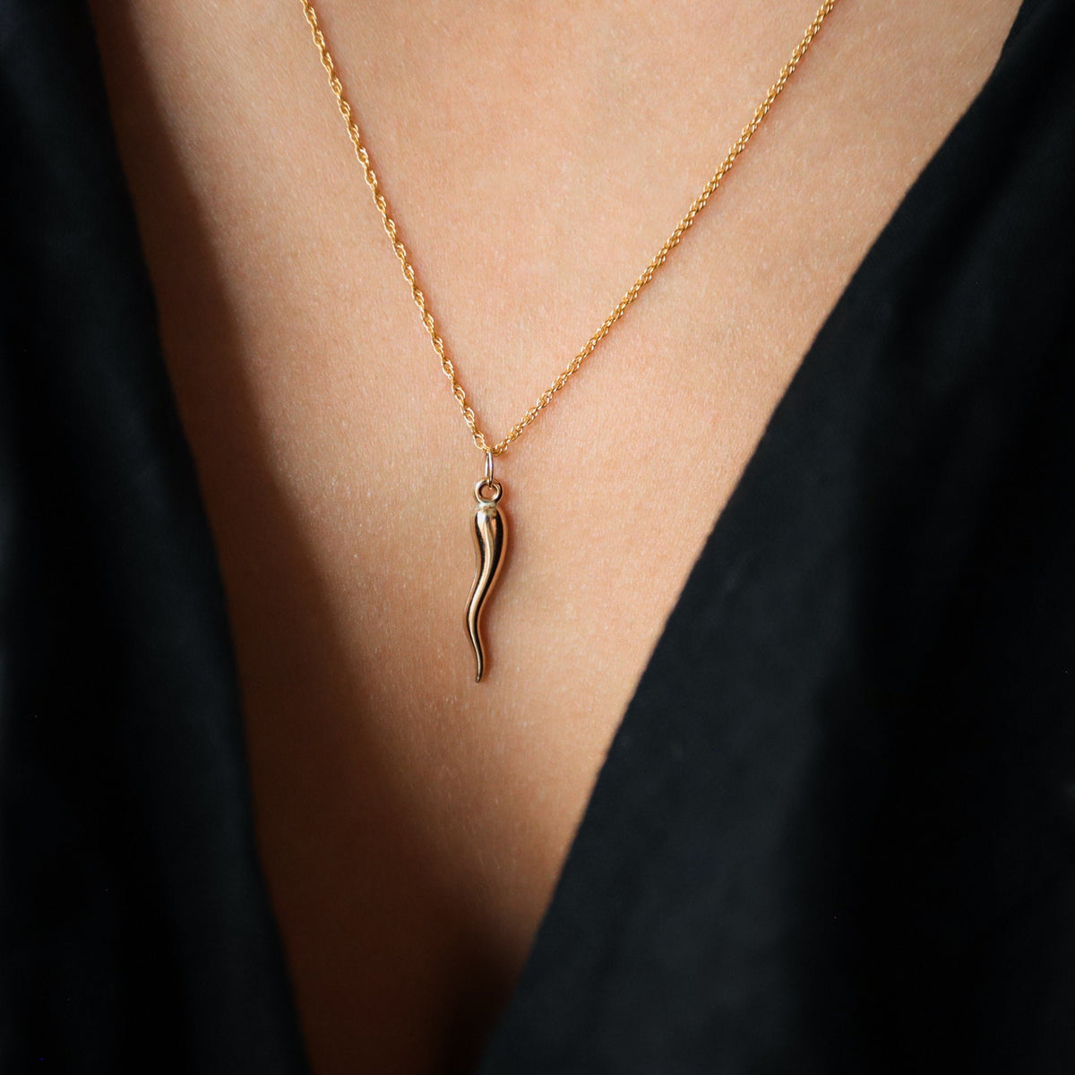 Italian Horn Necklace, 14K gold filled ENGA6785