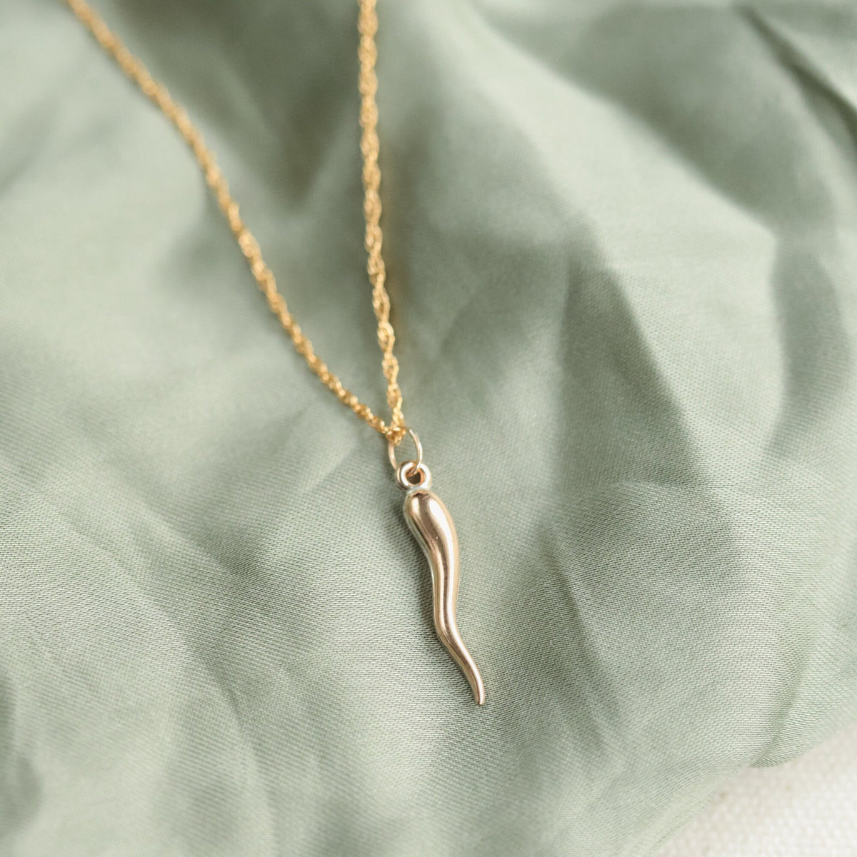 Italian Horn Necklace, 14K gold filled ENGA6785
