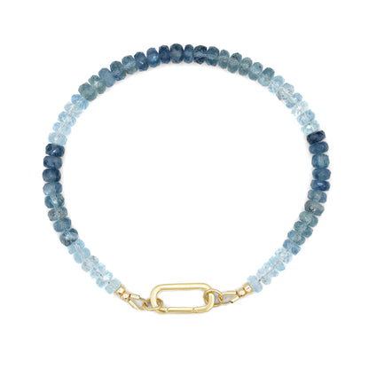 Santa Maria aquamarine Carabiner