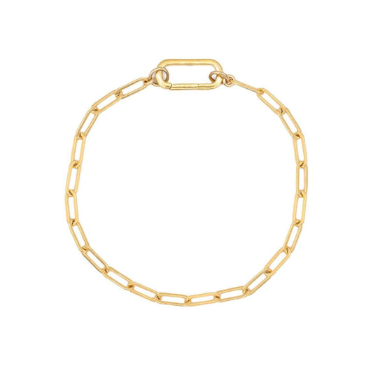 Carabiner Paperclip Bracelet