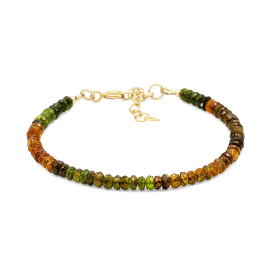 Petro Tourmaline Bracelet