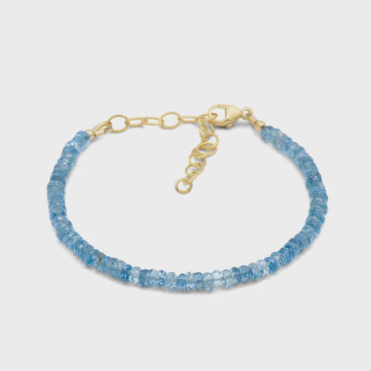 Santa Maria Aquamarine - 14K