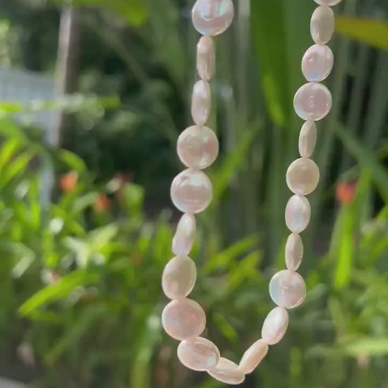 Freshwater Disc Pearl necklace | Pearl necklace 14K gold filled [ENPM1093] | freshwater pearl necklace | pearl necklace | June *w